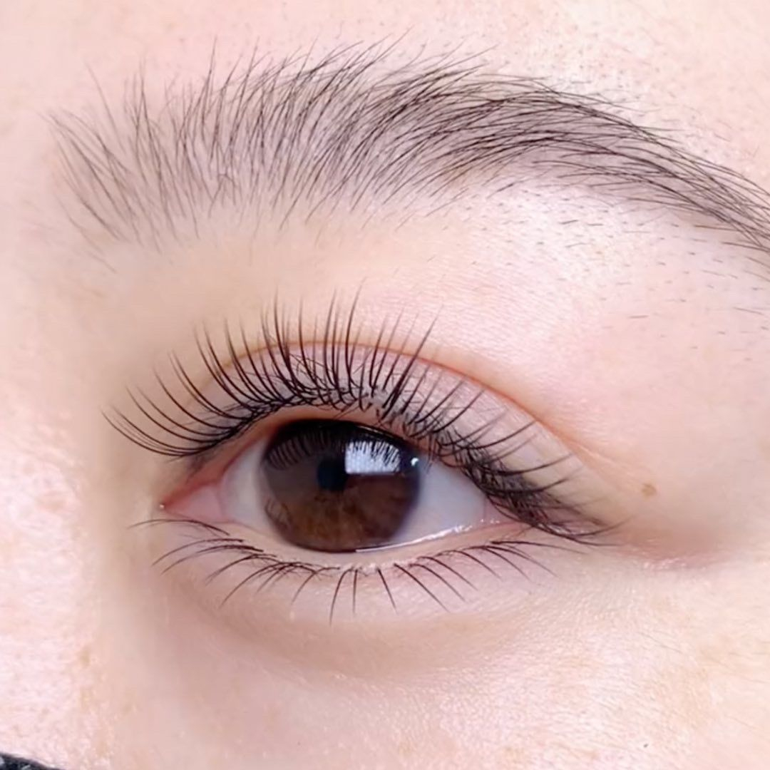 Close up of natural lash lift and tint on brown eye